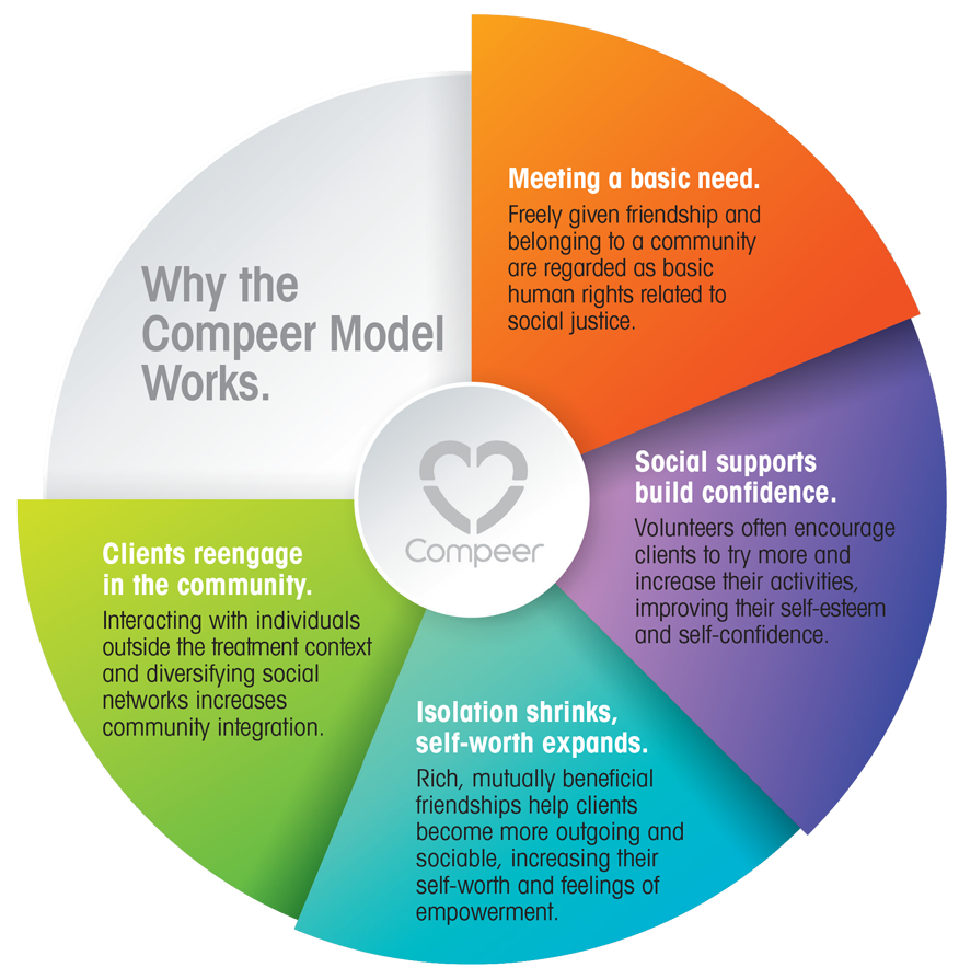 Why the compeer model works